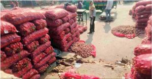 বাংলাদেশে রপ্তানি বন্ধ : দিল্লির বাজারে পচছে পেঁয়াজ, ২ রুপিতেও মিলছে না খদ্দের